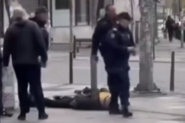 Oglasio se MUP nakon ubistva psa u Admirala Geprata