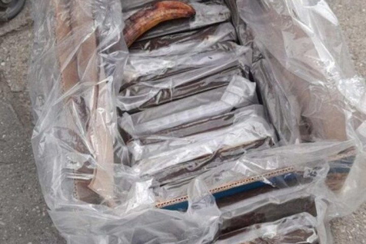 Pripadnici MUP u Novom Sadu zaplenili 15 kilograma kokaina