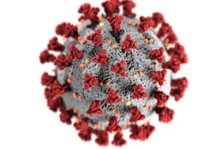 Administracija SAD: Korona virus izašao iz laboratorije