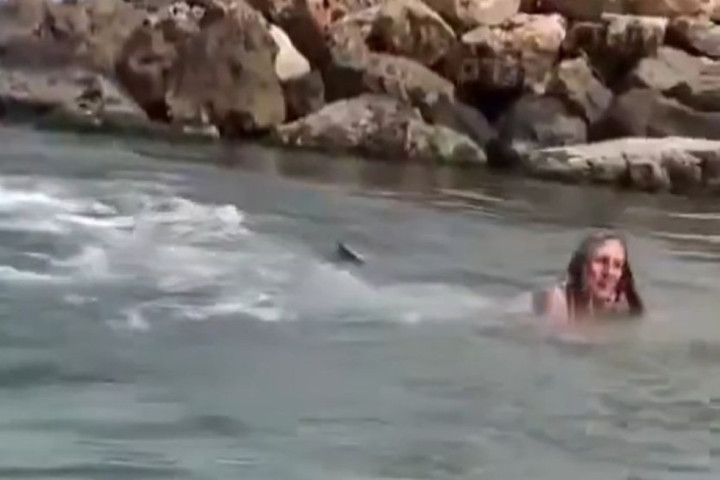 Žena pala na ajkulu sa daske za surfovanje u Izraelu (VIDEO)