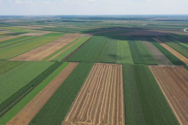 Stručnjaci preporučuju zaštitne tretmane na svim posejanim parcelama, zbog padavina