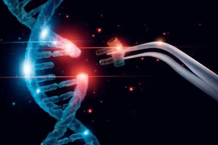 Nova CRISPR alternativa može ubaciti čitave gene što otvara vrata prekretnice u lečenju genetskih bolesti