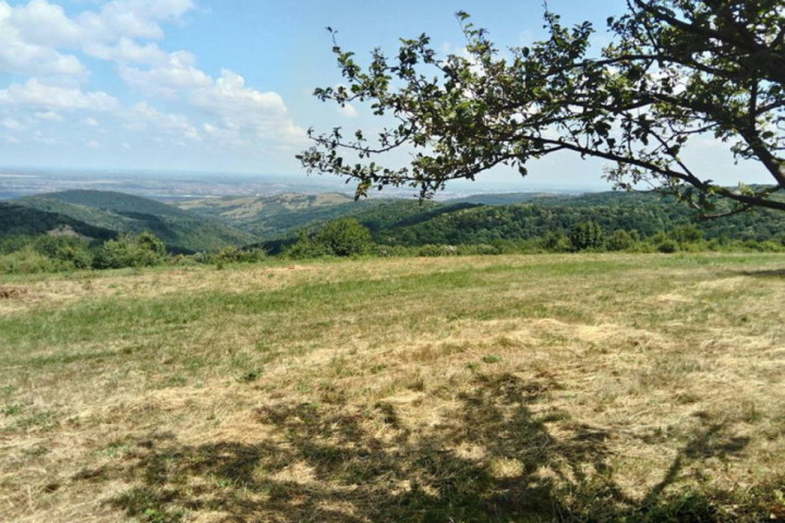 Više od 225.000 evra dodeljeno za 18 ekoloških projekata u Srbiji