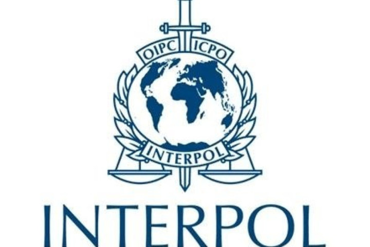 Interpol: Uhapšeno 20 osoba u 12 zemalja zbog posedovanja dečje pornografije