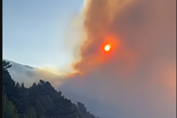 Gori Dalmacija, krenula evakuacija, turisti počeli da beže, angažovani kanaderi