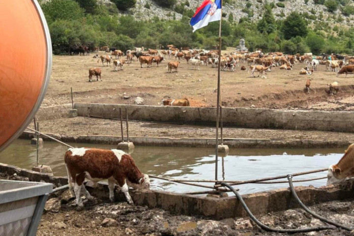 Nastaviljena akcija vodosnabdevanja za ugrožene životinje na Suvoj planini