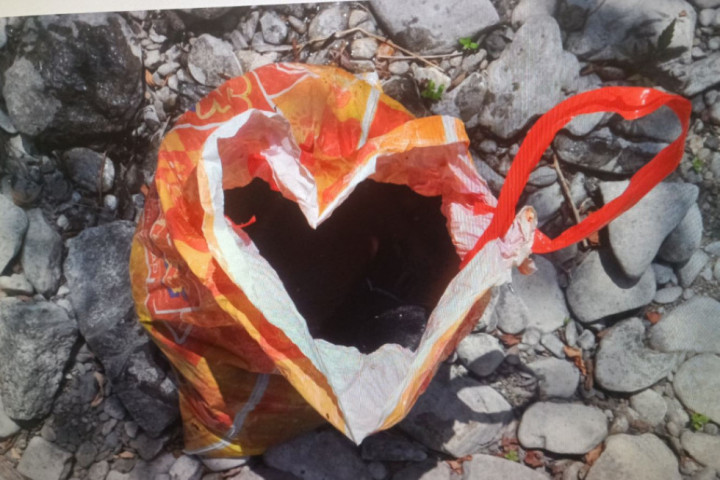 Udavio šest štenaca pa ih u kesama bacio u korito reke! Uhapšen muškarac (74)