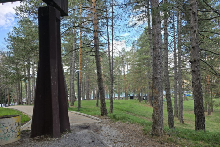 Po prvi put u Srbiji otkrivena retka vrsta insekta