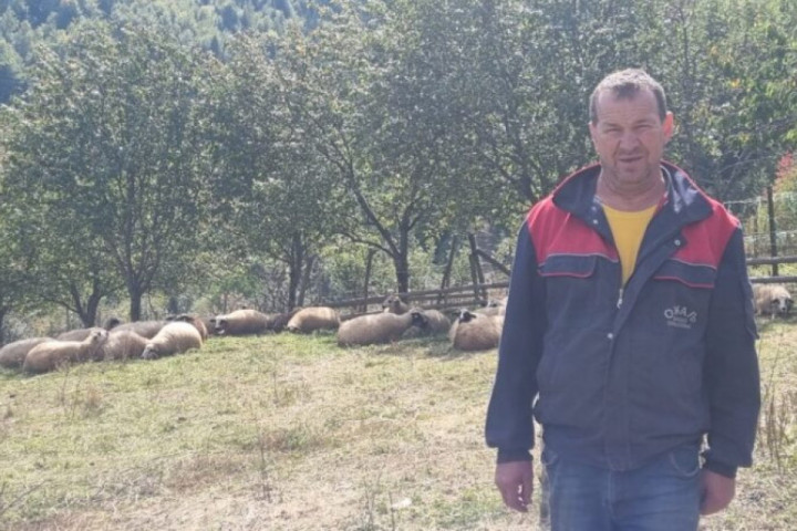 Medvedi i psi lutalice prave haos u selima kod Priboja - za samo nekoliko dana zaklali 17 ovaca i jagnjadi