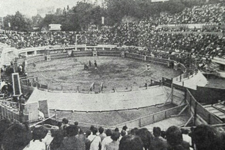 Španska korida na Tašmajdanu 1971: Publika navijala za bika, ne za matadora