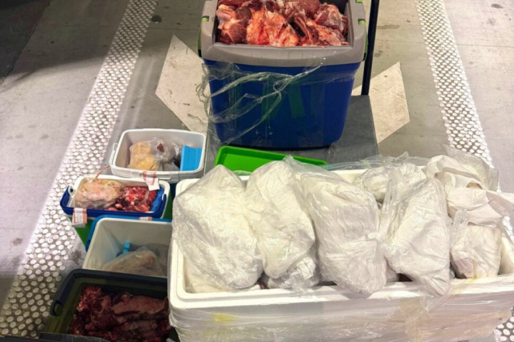 Carinici na Horgošu zaplenili 140 kilograma mesa u prostoru za prtljag