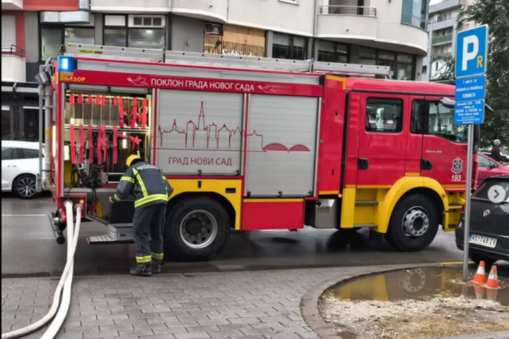 Izgoreo stan u Novom Sadu, hrabri vatrogasci uspešno reanimirali psa