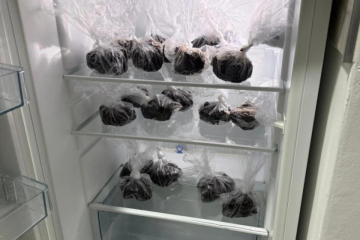 Uhapšeni Novosađani zbog prodaje droge: U frižideru čuvali oko dva kilograma kolača sa marihuanom