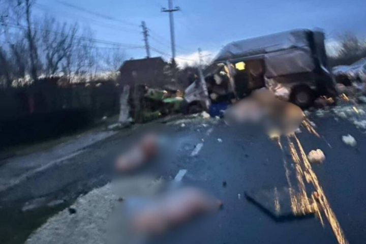 Mrtvi prasići na putu nakon teške nezgode kod Smedereva (FOTO)