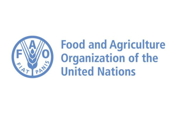 FAO: Zatvaranje Ormuza može da izazove skok cena hrane u narednih 6 do 12 meseci