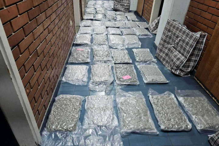 Policija u Sremskoj Kamenici zaplenila više od 58 kilograma marihuane, uhapšen Beograđanin